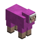 friendly_sheep.png